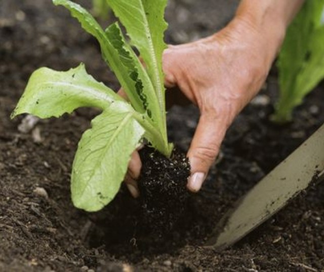 agroecologia-que-es